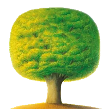 Tree Image